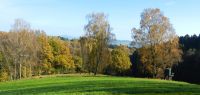42 birkenhain bei hagnberg - ft